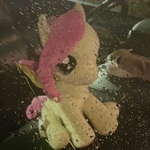 Meet your Posher, Kassandra